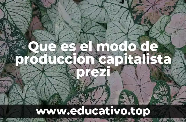 Que es el modo de produccion capitalista prezi