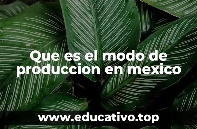 La base estructural del sistema económico mexicano