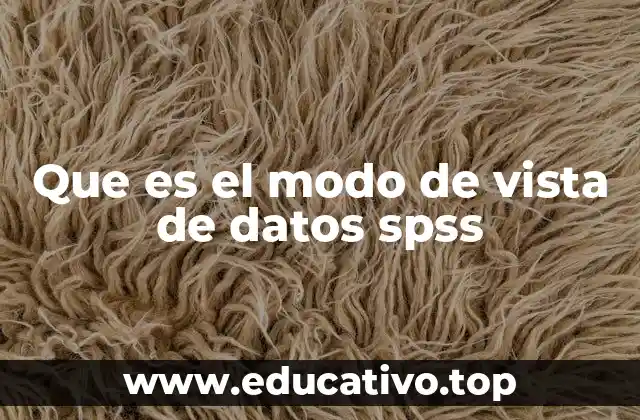 Que es el modo de vista de datos spss