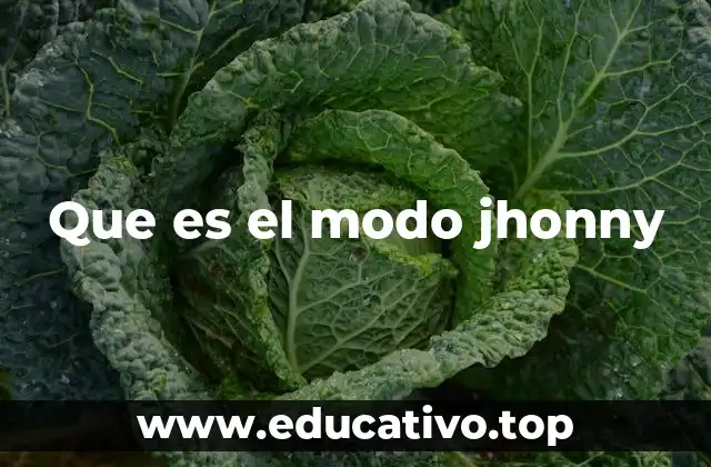 Que es el modo jhonny