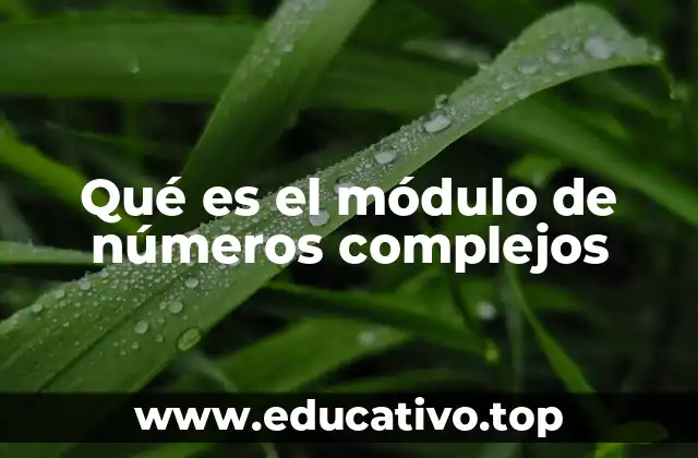 Cómo se interpreta el módulo en el plano complejo