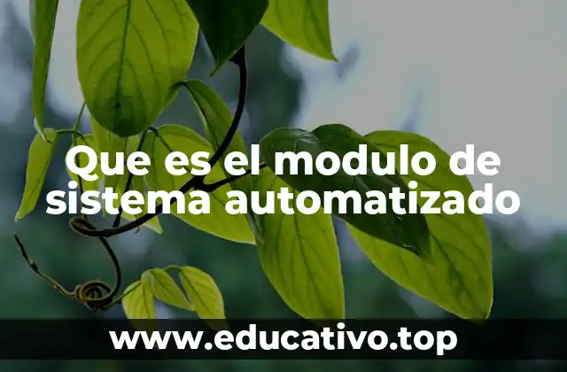 Que es el modulo de sistema automatizado