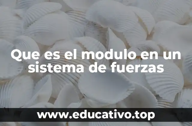 Que es el modulo en un sistema de fuerzas