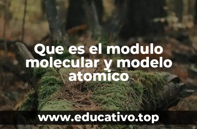 Que es el modulo molecular y modelo atomico