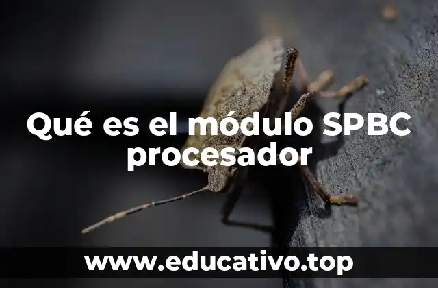 Qué es el módulo SPBC procesador