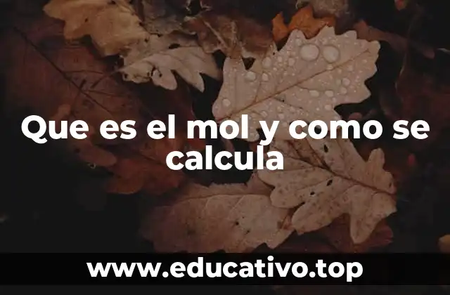 Que es el mol y como se calcula