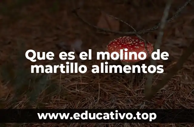 Que es el molino de martillo alimentos
