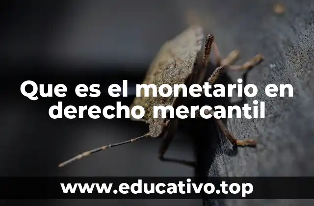 Que es el monetario en derecho mercantil