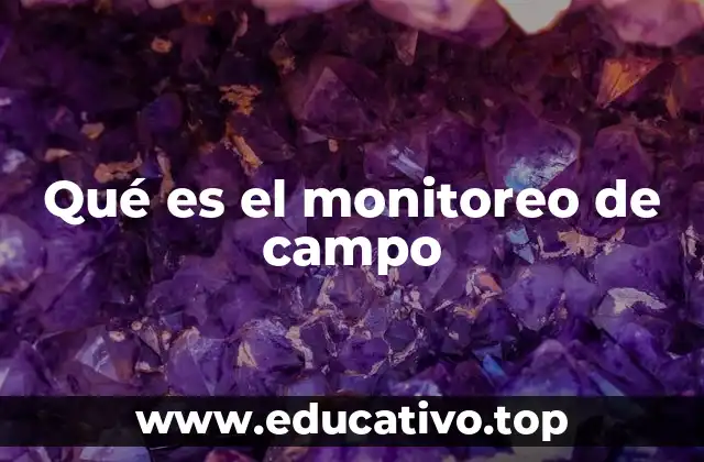 Qué es el monitoreo de campo