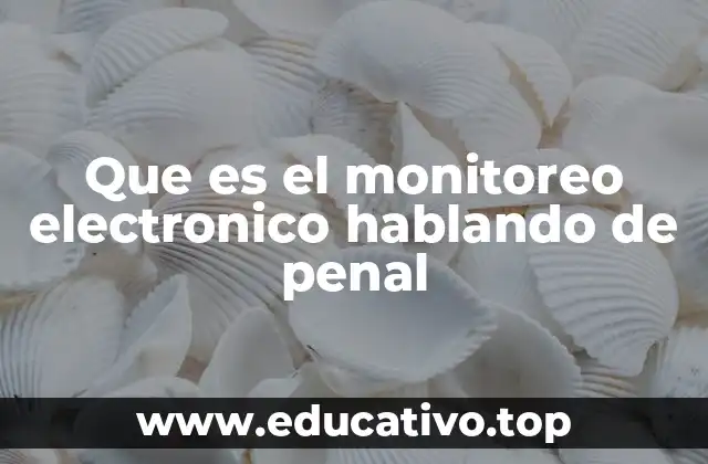 Que es el monitoreo electronico hablando de penal