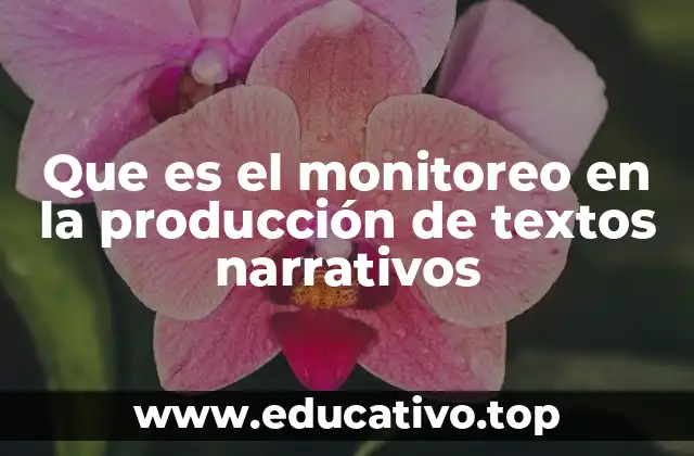 Que es el monitoreo en la producción de textos narrativos