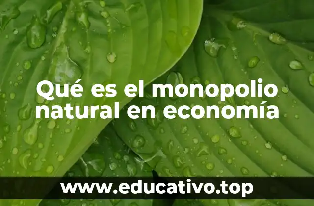 Qué es el monopolio natural en economía