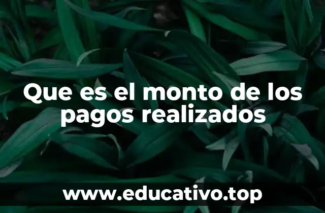 Que es el monto de los pagos realizados