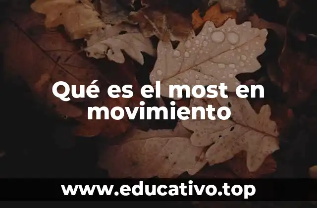 Qué es el most en movimiento