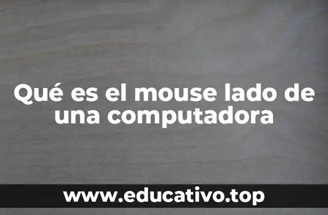 Qué es el mouse lado de una computadora