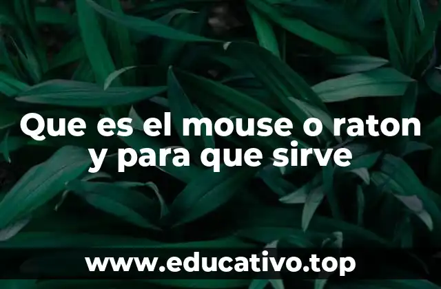 Que es el mouse o raton y para que sirve