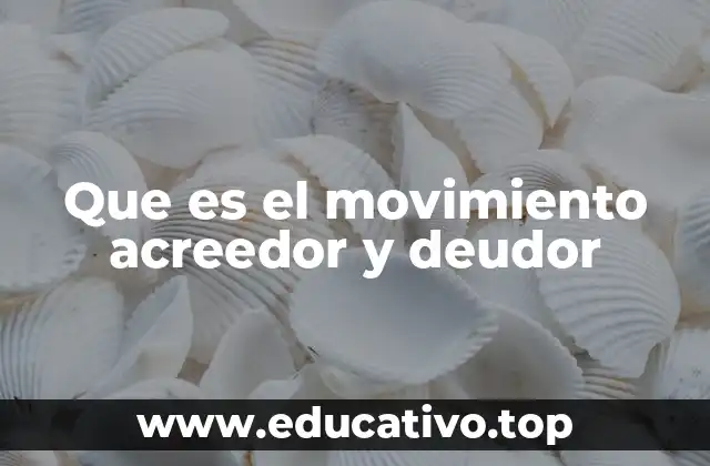 Que es el movimiento acreedor y deudor
