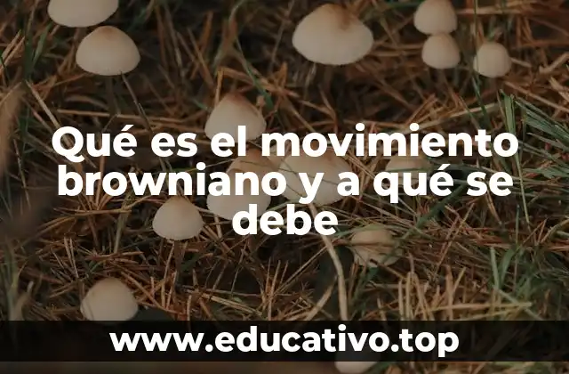 Qué es el movimiento browniano y a qué se debe