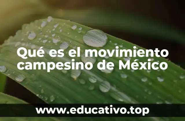 Qué es el movimiento campesino de México