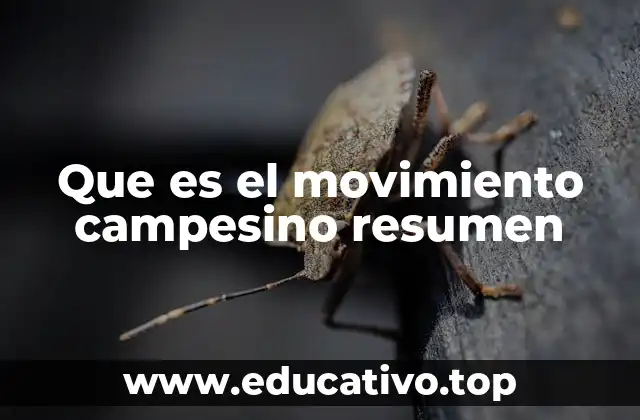 Que es el movimiento campesino resumen