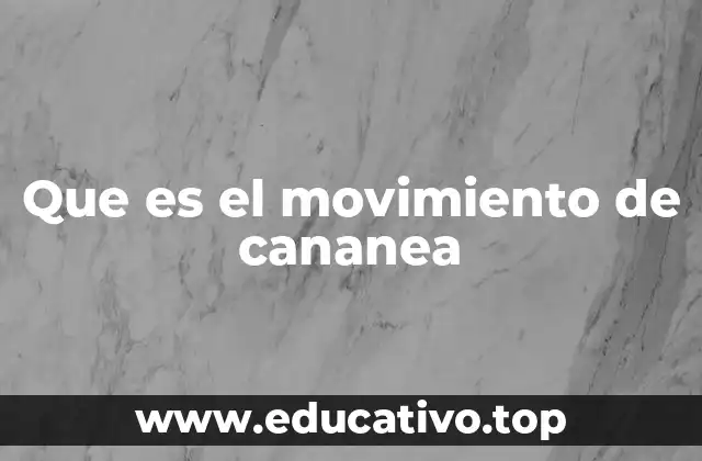 Que es el movimiento de cananea