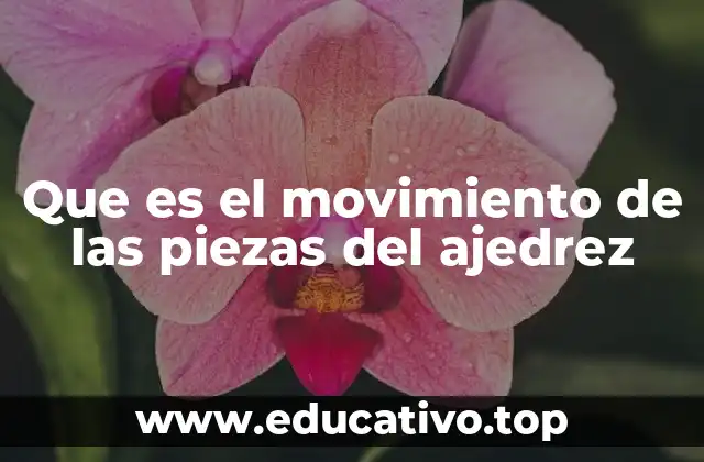 Que es el movimiento de las piezas del ajedrez