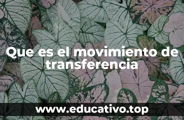Que es el movimiento de transferencia