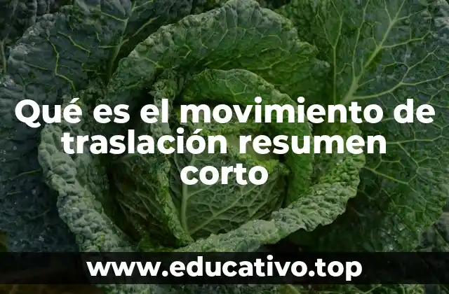Qué es el movimiento de traslación resumen corto