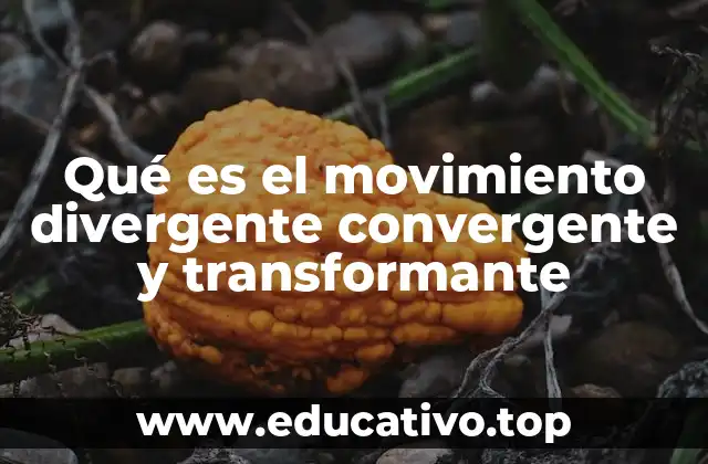 Qué es el movimiento divergente convergente y transformante