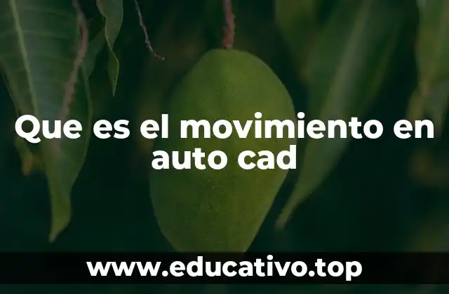 Que es el movimiento en auto cad