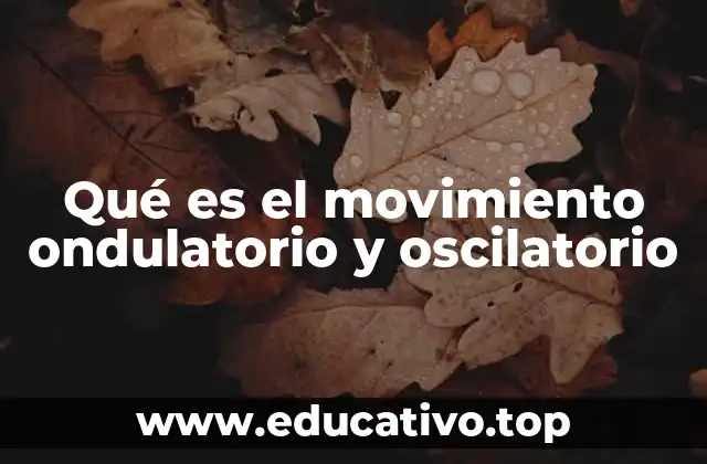 Qué es el movimiento ondulatorio y oscilatorio