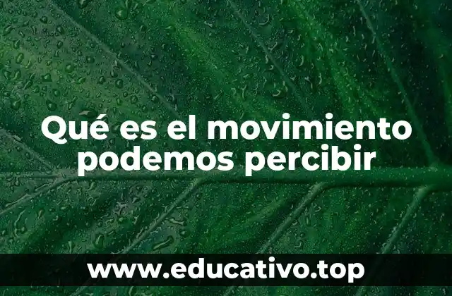 Cómo el cuerpo humano interpreta el movimiento que percibimos