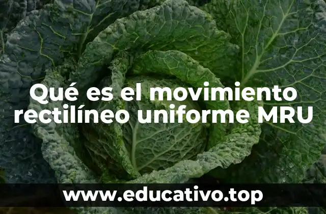 Qué es el movimiento rectilíneo uniforme MRU