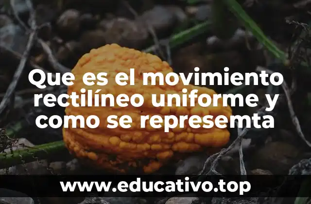 Características del movimiento rectilíneo uniforme