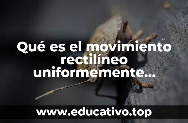 Qué es el movimiento rectilíneo uniformemente acelerado conceptos