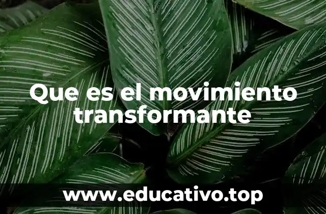 Que es el movimiento transformante