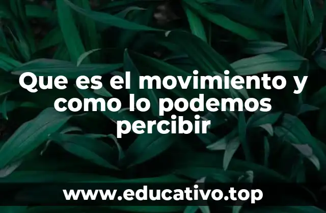 Que es el movimiento y como lo podemos percibir