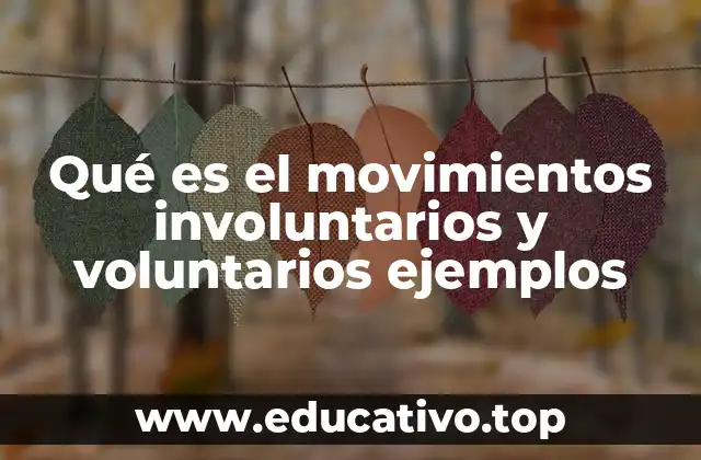Qué es el movimientos involuntarios y voluntarios ejemplos