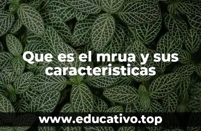 Que es el mrua y sus caracteristicas