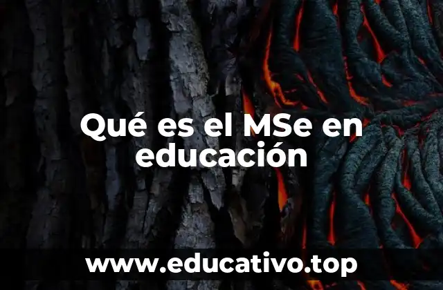 Qué es el MSe en educación