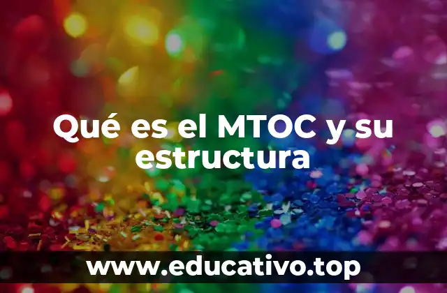 El rol del MTOC en la planificación educativa