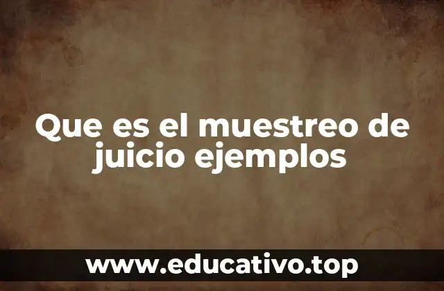 Que es el muestreo de juicio ejemplos