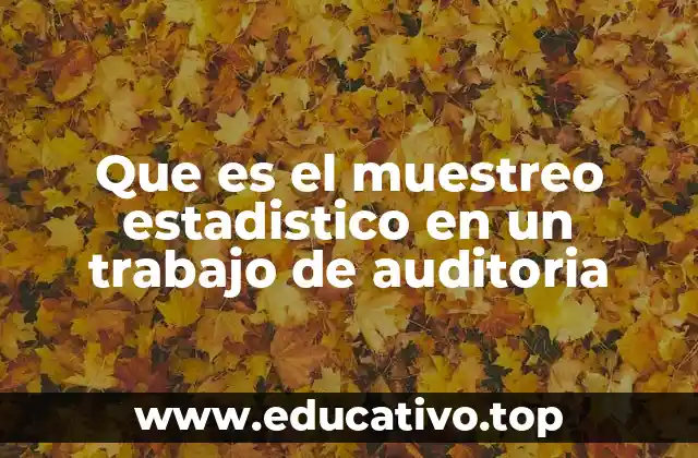 Que es el muestreo estadistico en un trabajo de auditoria