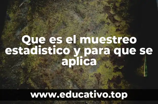 Que es el muestreo estadistico y para que se aplica