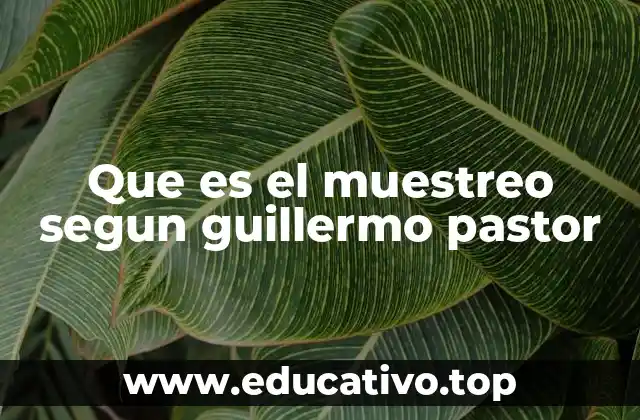 Que es el muestreo segun guillermo pastor