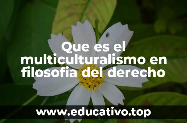 Que es el multiculturalismo en filosofia del derecho