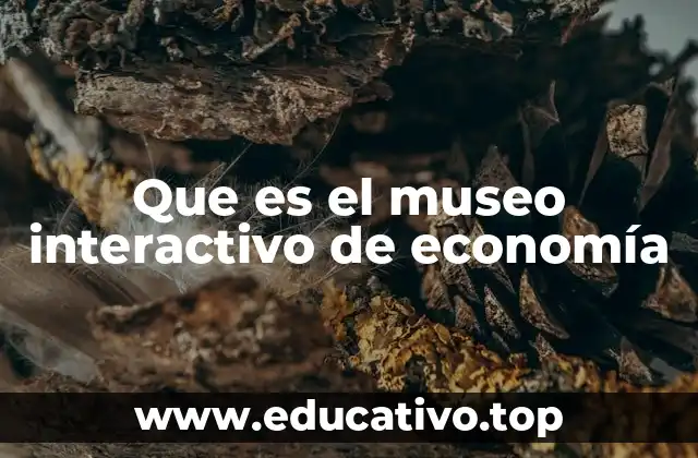 La evolución del aprendizaje económico a través de espacios interactivos