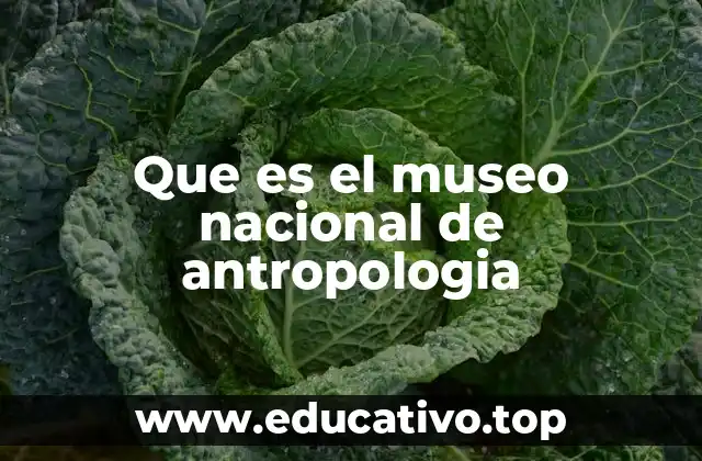 Que es el museo nacional de antropologia