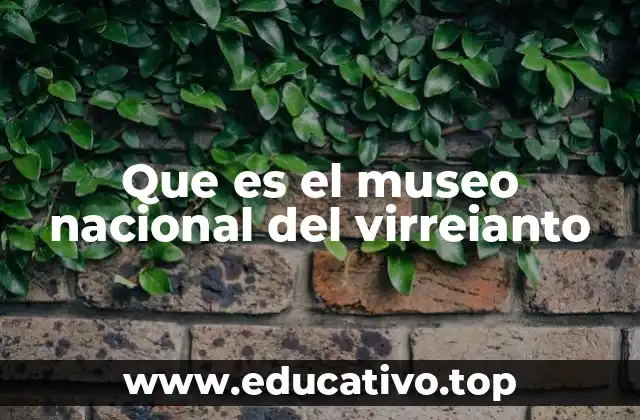 Que es el museo nacional del virreianto