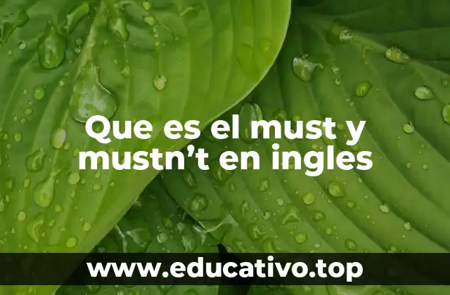 Que es el must y mustn’t en ingles